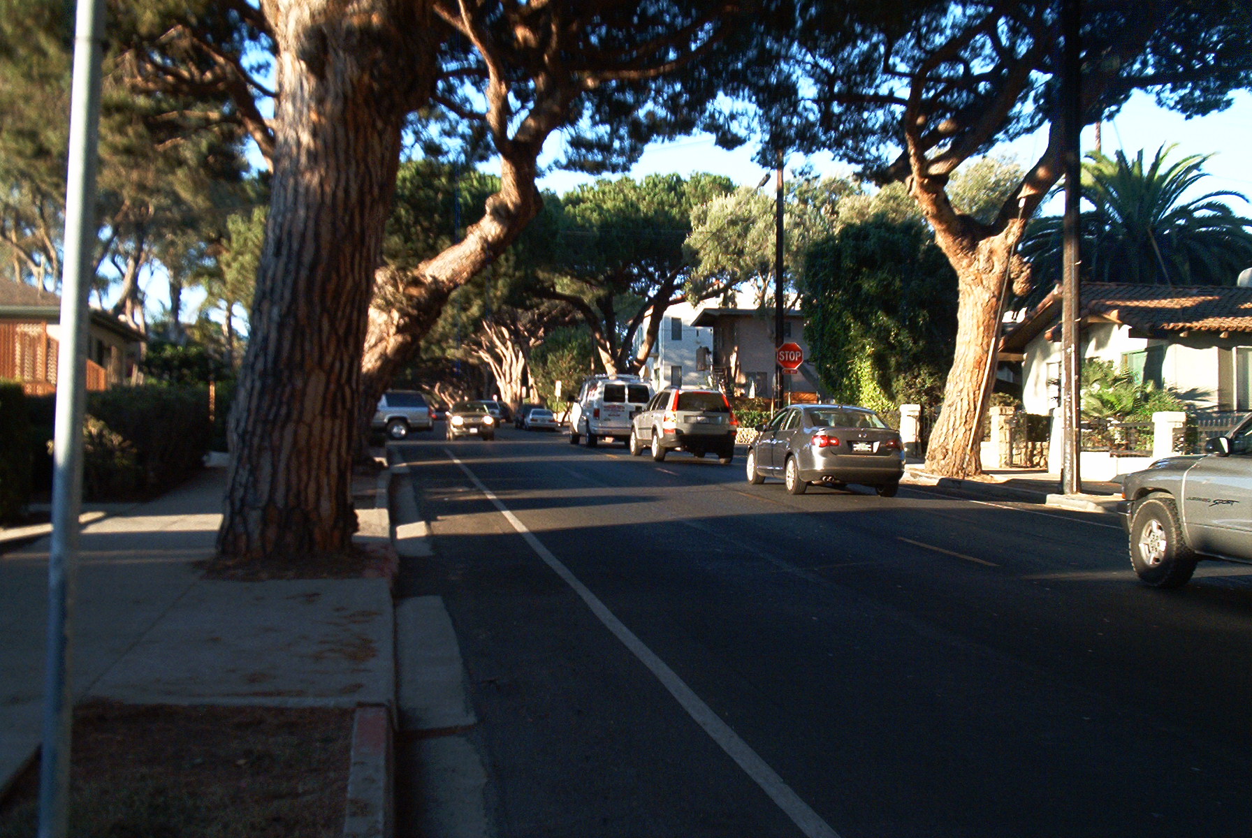 Bike Lanes
