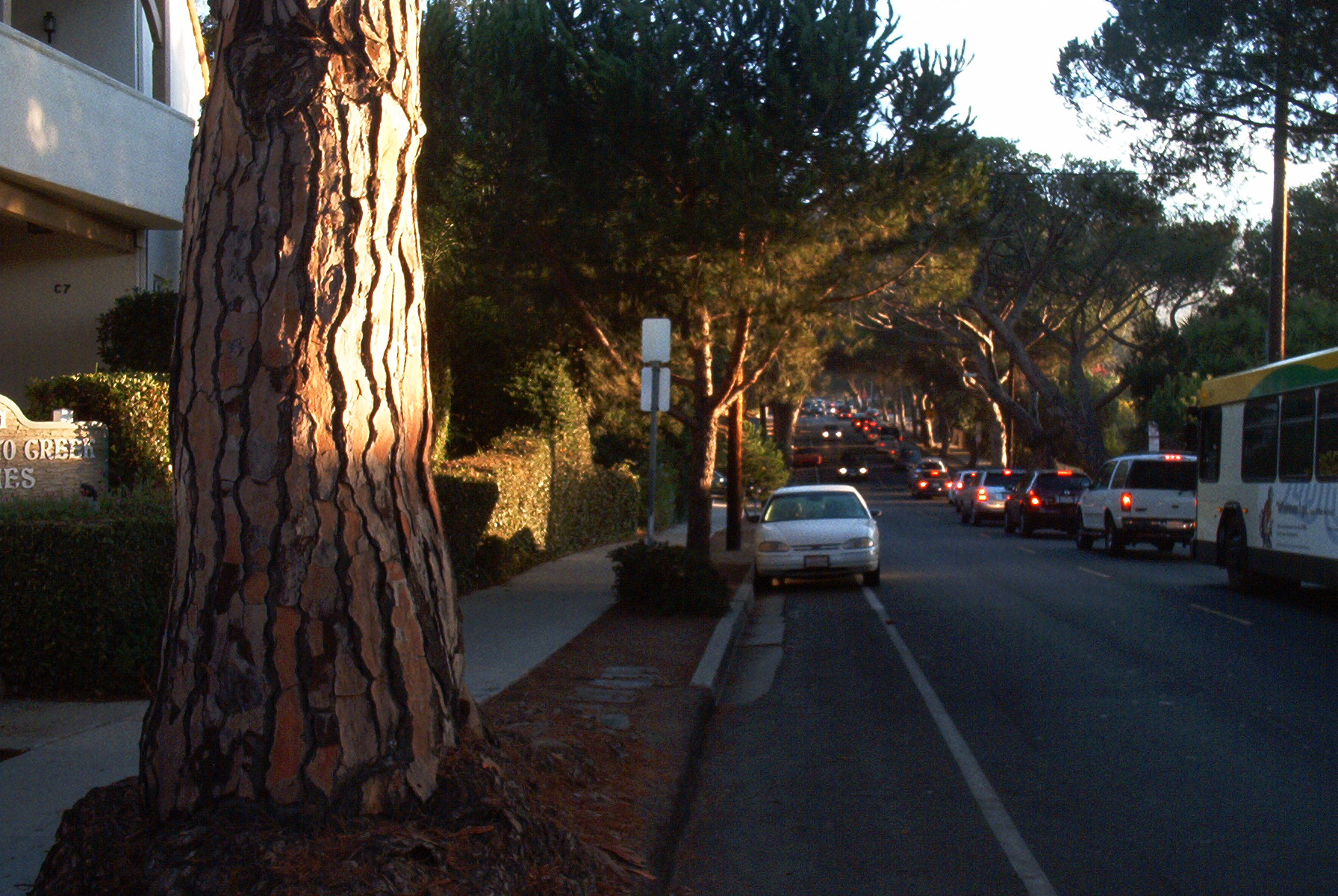 Bike Lanes