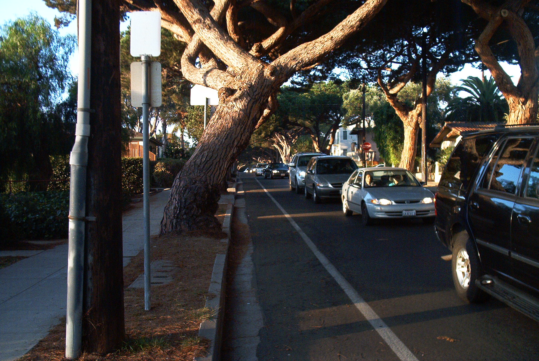 Bike Lanes