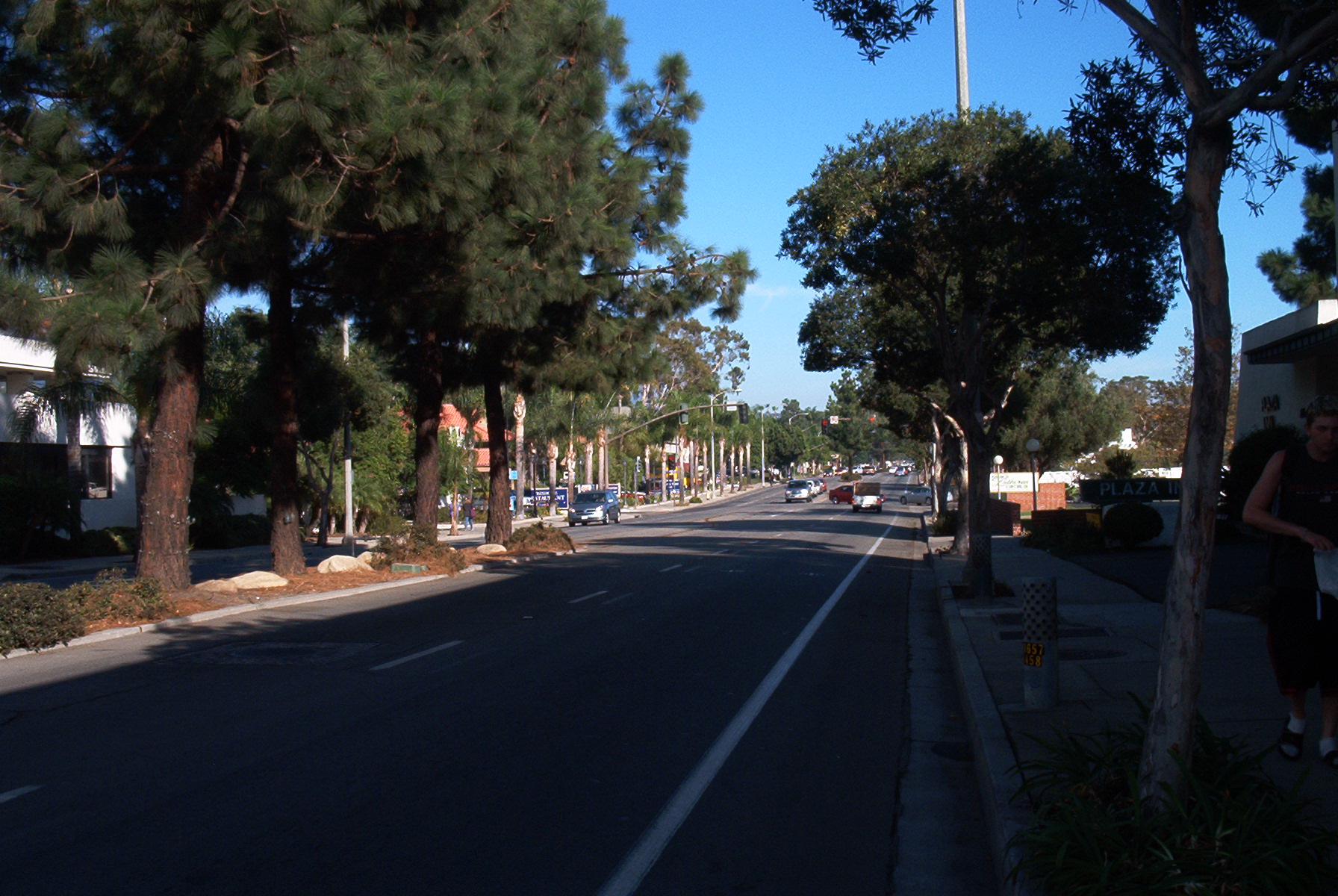 Bike Lanes